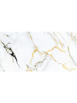 Керамогранит 60*120 VanHong VHP612267