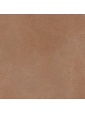 GFU6060SPR40R керамогранит матовый Spector 600*600