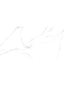 GFU60120CRR00R керамогранит матовый Carrara 600*1200