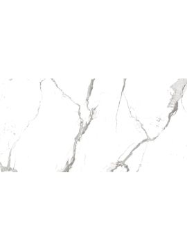 R_NR2001 Керамогранит Alps Statuario 60*120см Matt