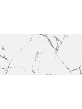 R_NR2003 Керамогранит Evon Statuario 60*120см Matt