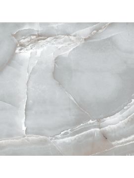 R_PR1012 Керамогранит Delhi Shine 60*60см Polished