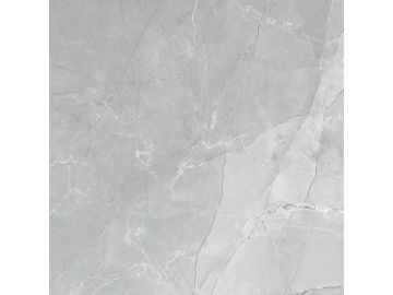 6060AMB15P Armani Marble Gray Керамогранит полированный 600*600